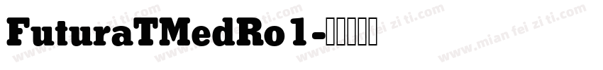 FuturaTMedRo1字体转换