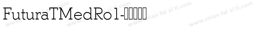 FuturaTMedRo1字体转换