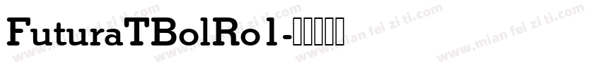FuturaTBolRo1字体转换