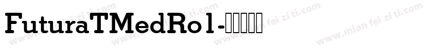 FuturaTMedRo1字体转换
