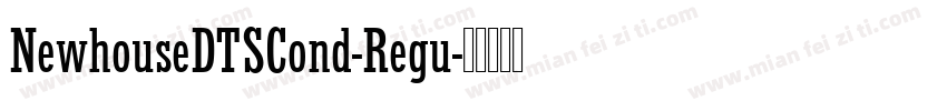 NewhouseDTSCond-Regu字体转换