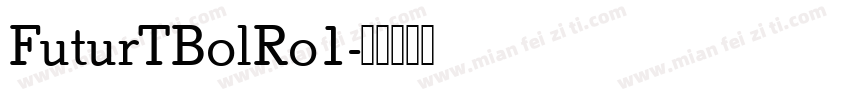 FuturTBolRo1字体转换