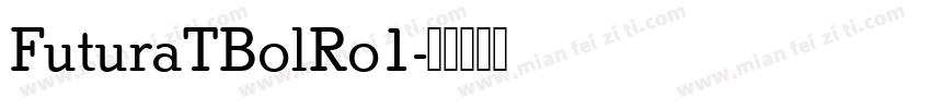 FuturaTBolRo1字体转换