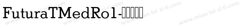 FuturaTMedRo1字体转换