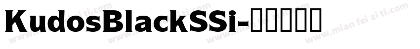 KudosBlackSSi字体转换