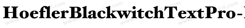 HoeflerBlackwitchTextPro-Regula字体转换