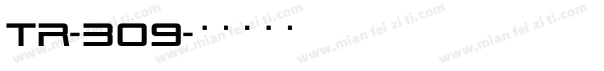 TR-309字体转换