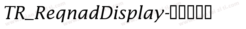 TR_ReqnadDisplay字体转换