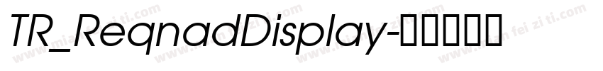 TR_ReqnadDisplay字体转换