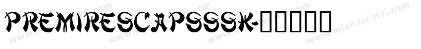 PremireSCapsSSK字体转换