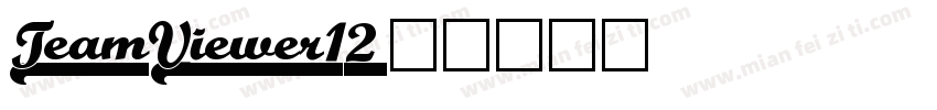 TeamViewer12字体转换