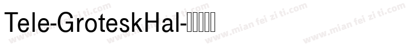 Tele-GroteskHal字体转换