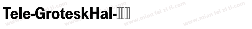 Tele-GroteskHal字体转换