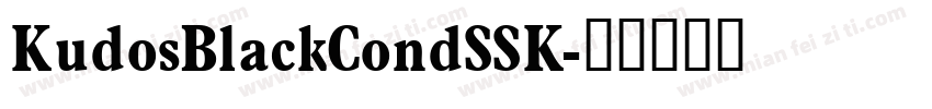 KudosBlackCondSSK字体转换
