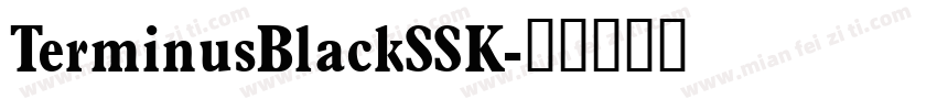 TerminusBlackSSK字体转换