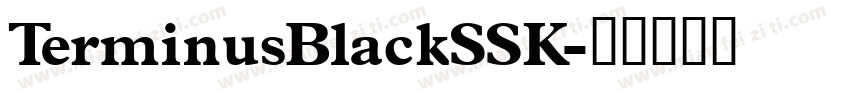 TerminusBlackSSK字体转换