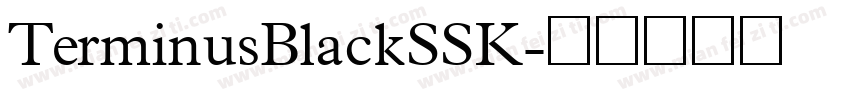 TerminusBlackSSK字体转换
