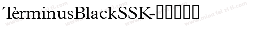 TerminusBlackSSK字体转换
