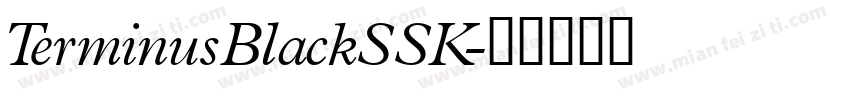 TerminusBlackSSK字体转换