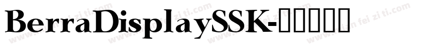 BerraDisplaySSK字体转换