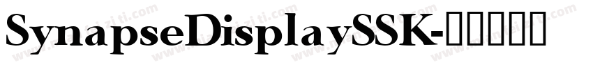 SynapseDisplaySSK字体转换