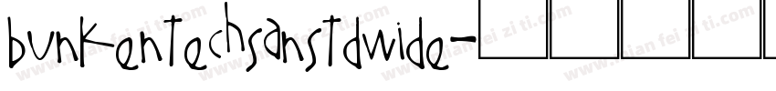 bunkentechsanstdwide字体转换