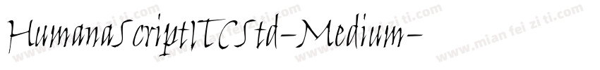 HumanaScriptITCStd-Medium字体转换