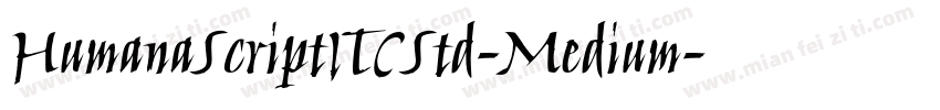 HumanaScriptITCStd-Medium字体转换