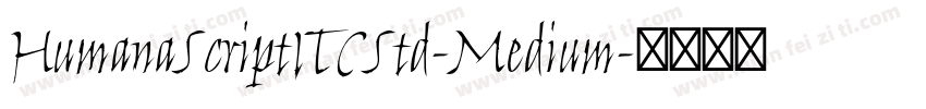 HumanaScriptITCStd-Medium字体转换