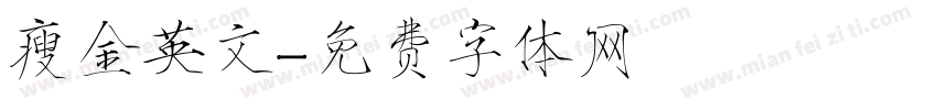 瘦金英文字体转换