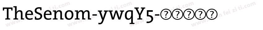 TheSenom-ywqY5字体转换