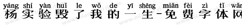 杨实验毁了我的一生字体转换