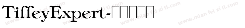 TiffeyExpert字体转换