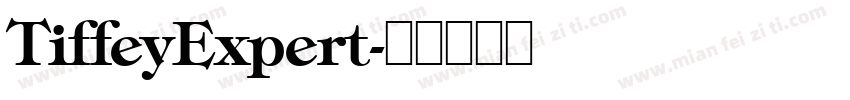 TiffeyExpert字体转换