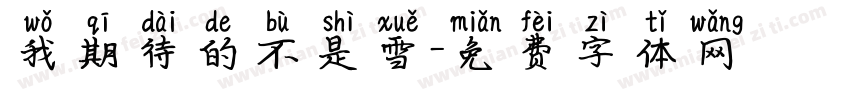 我期待的不是雪字体转换
