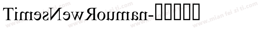 TimesNewRouman字体转换