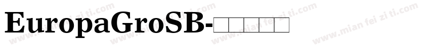 EuropaGroSB字体转换