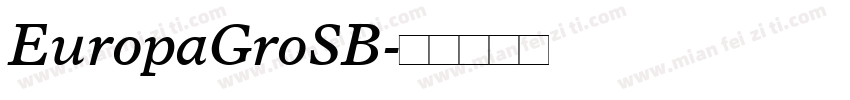 EuropaGroSB字体转换
