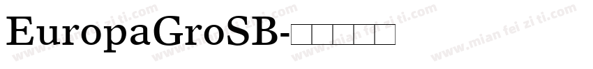 EuropaGroSB字体转换