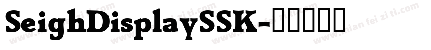 SeighDisplaySSK字体转换