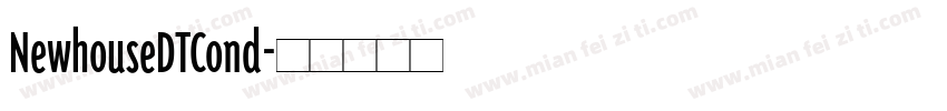 NewhouseDTCond字体转换