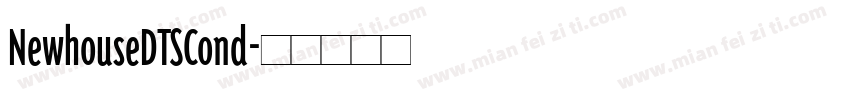 NewhouseDTSCond字体转换