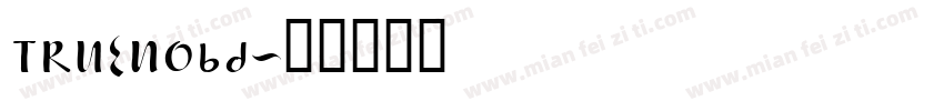 TRUENObd字体转换
