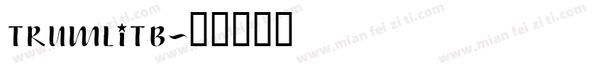 TRUMLITB字体转换