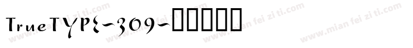 TrueTYPE-309字体转换