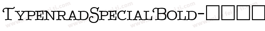 TypenradSpecialBold字体转换