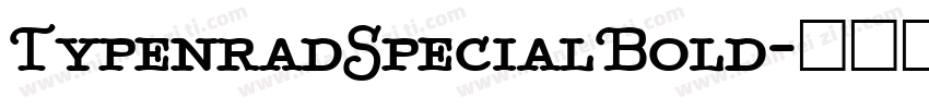 TypenradSpecialBold字体转换
