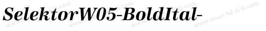 SelektorW05-BoldItal字体转换