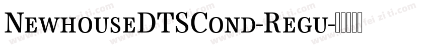 NewhouseDTSCond-Regu字体转换