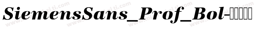 SiemensSans_Prof_Bol字体转换